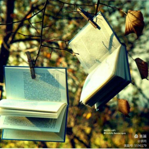 不一样的什么生活半命题作文（《“平凡人的不平凡故事”；》）