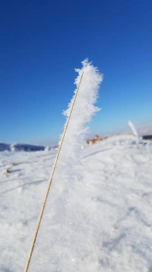 关于冬日雪景的作文（《雪落人间》）