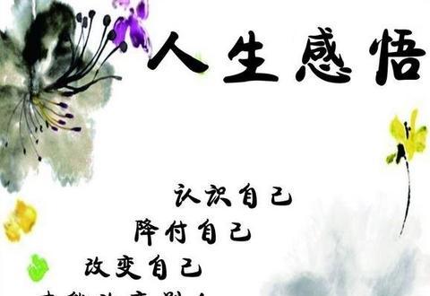 最精辟的人生感悟句子（关于人生百味的说说摘抄）