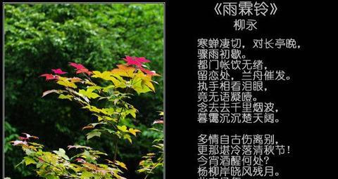 关于雨的诗句唯美和情感（关于雨的唯美并说出情感好句）