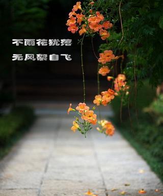 人生走走停停的感悟句子（一路走走停停的名言）