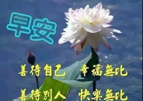 形容善良的古诗词名句（微笑善良的句子精辟）