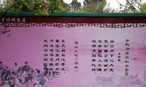 带有海棠的诗句有哪些（里有海棠的古诗赠言）