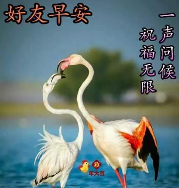 下雨天早安问候语（下雨天早上好高情商句子语录）