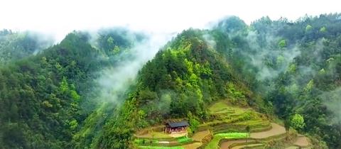 形容大自然美景的诗句（大山深处好风光大全）