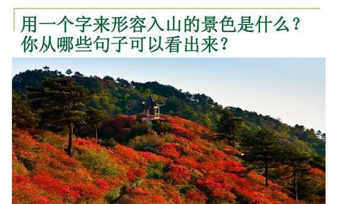 形容大自然美景的诗句（大山深处好风光大全）