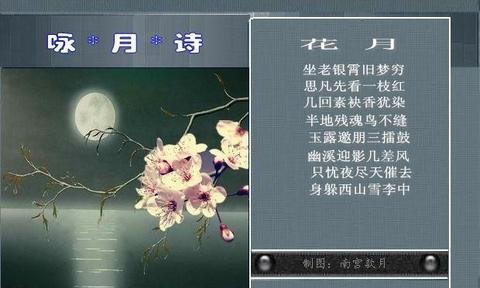 飞花令月诗句题库（飞花令月的200首话语）