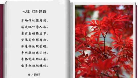 赞美深秋红叶的景色的诗句（赞美红叶的有哪些长句）