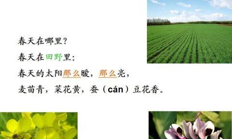 关于描写油菜花的诗句有哪些（描写油菜花的古诗10首书摘）