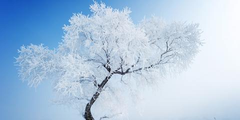 我和白雪公主过一天作文（想象我和白雪公主过一天优秀）