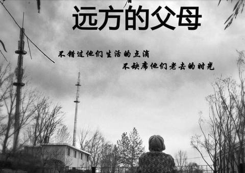 可怜天下父母心作文600字（可怜天下父母心议论文精选）