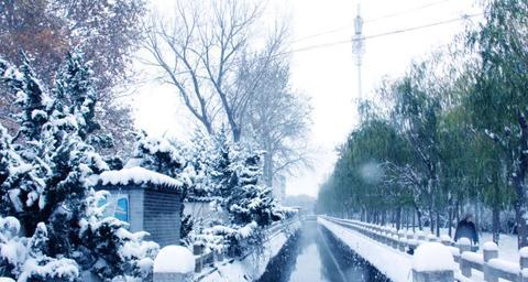 冬天的雪三年级作文（冬天的雪精选）