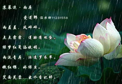 有关兰的诗句（有关荷塘的语句）