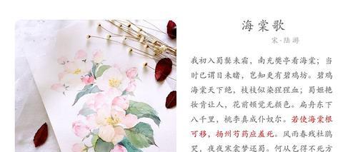 赞美芙蓉花的优美诗词（芙蓉花现代摘抄）