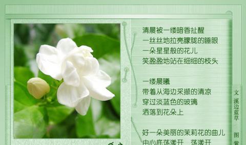 形容满屋花香的唯美短句（花香袭人的唯美句子警句）