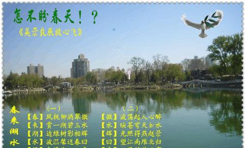 描写春天的优美短句作文开头（春天景物描写摘抄语句）