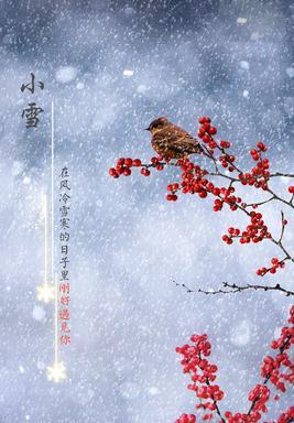 飞的诗句大全100个（问候语）