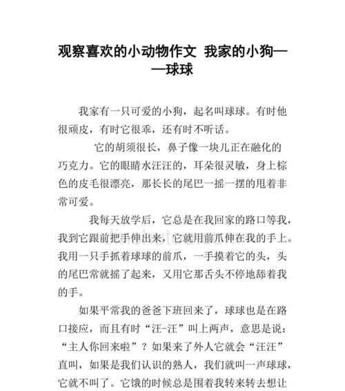 我心爱的小狗作文800字（心爱的动物小狗优秀）