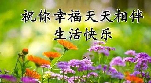 祝愿未来可期的古风句子（对朋友美好祝愿的古风书摘）