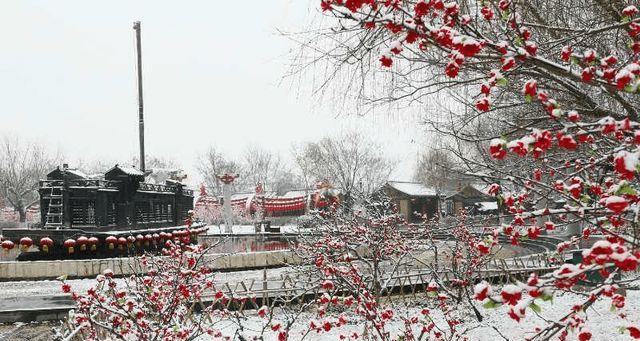 描写春雪的古诗（关于春雪的诗句优美句子警句）