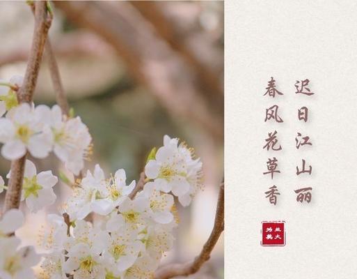 飞花令风的诗句100句（飞花令风的话语）