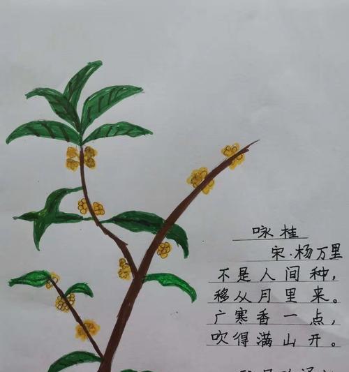 带有花的诗句大全飞花令（带月的飞花令短语）