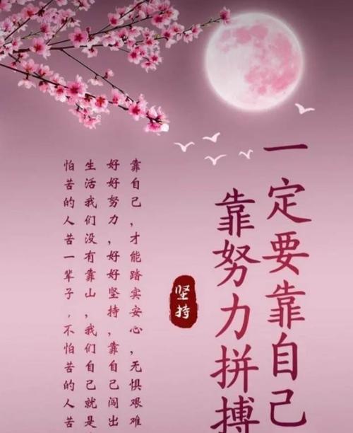 赞美校园生活丰富多彩的句子（关于校园生活的好句好段文案）