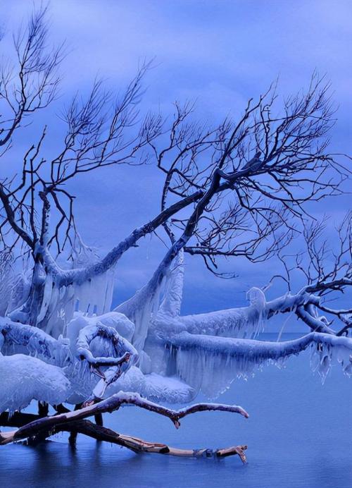 描写大雪的诗句唯美（赞美雪的唯美句子寄语）