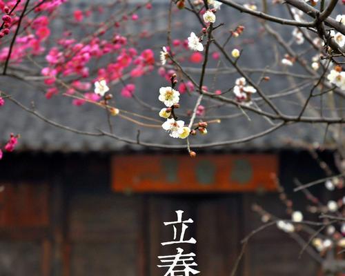 关于立春的诗句（立春诗词歌书摘）