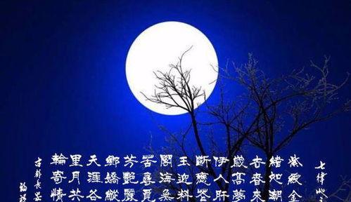 思念逝去亲人的句子经典（儿子思念亡母的诗词赠言）