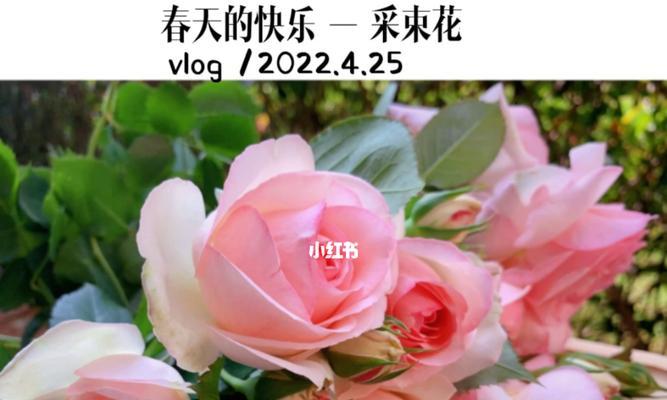 日常生活的句子（生活简单日子温暖文案短句）