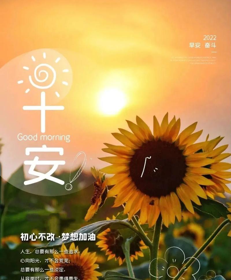 清晨寄语励志的正能量句子（早晨的唯美短句摘抄）