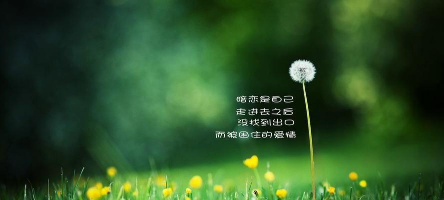 感叹生命无常的句子（感悟生命的短句短语）