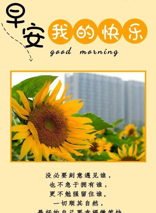 单身哲学名言名句（享受单身的文案短句寄语）