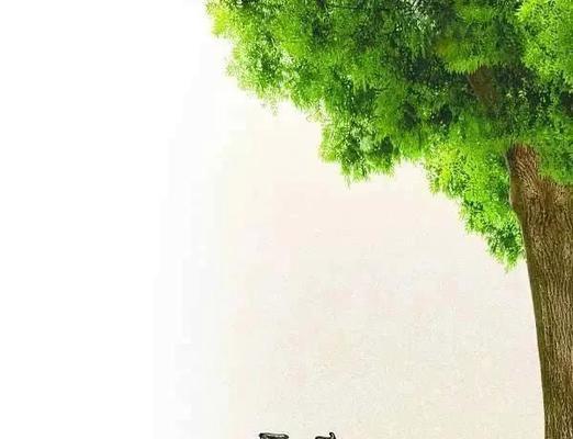 致青春的句子八个字（致青春的经典语句简短祝福语）