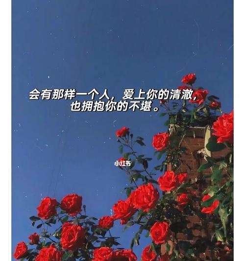 文案暖心简短赠老人（形容看见老人内心心酸的句子诗句）