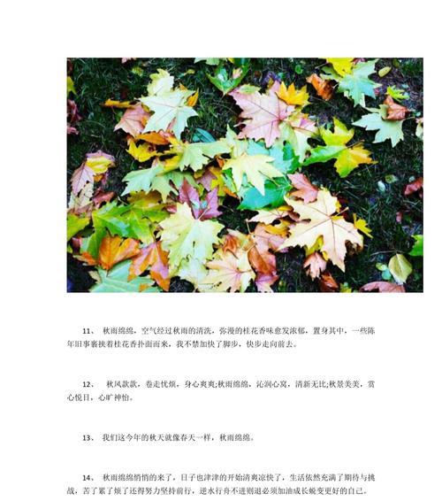 喜欢成都的文案（赞美成都房子的句子语录）