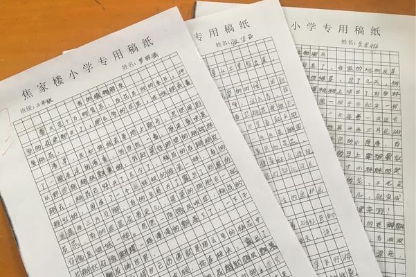 寻找爱作文800字（优秀）