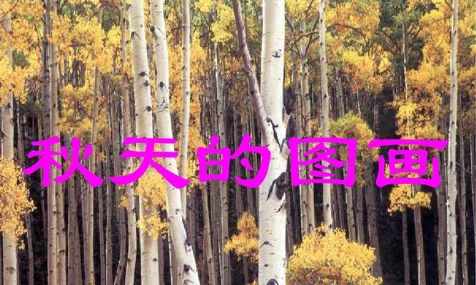 秋天的图画作文一年级（秋天的画优秀）