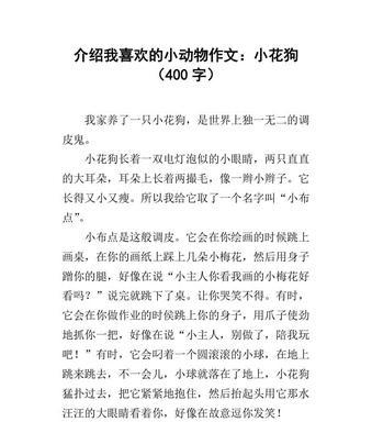 描写小狗的好词好句作文（描写小狗的优美句子和词语警句）