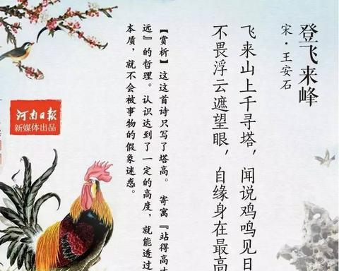 赞美小鸡的诗句（赞美鸡的寄语）