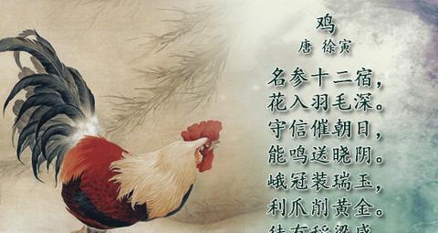 赞美小鸡的诗句（赞美鸡的寄语）