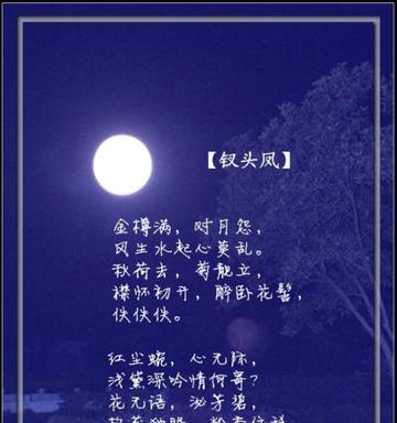 描写玫瑰花的名言（描写玫瑰花的诗句古诗大全语录）
