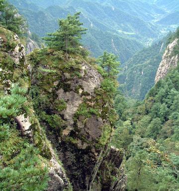 形容家乡大山美景的句子（形容大山美景的简短的精辟）
