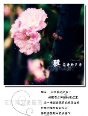 形容花开的漂亮心情好的短句（形容看见花心情好的幽默句子警句）
