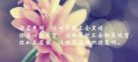 形容花开的漂亮心情好的短句（形容看见花心情好的幽默句子警句）