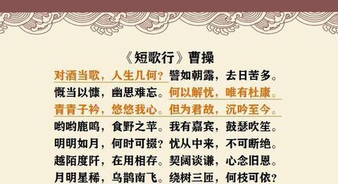李白关于青春的诗句（李白最有名的喝酒语录）
