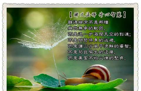 修心养性的经典句子（形容修心养性,静心的书摘）