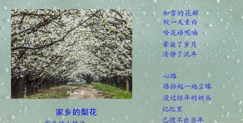 桃花梨花的唯美句子（关于梨花的优美文案诗句）