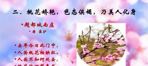 桃花怎么开放的句子（比喻桃花的书摘）